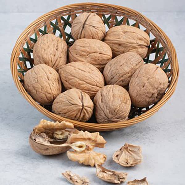 بهترین زمان مصرف گردو