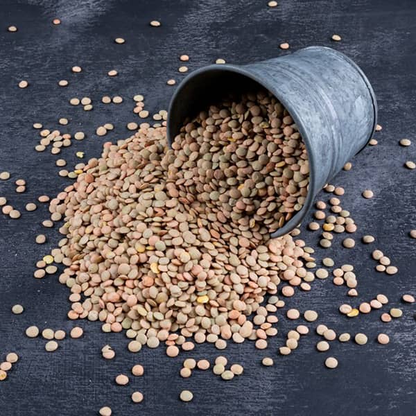 خواص عدس برای کبد چرب
