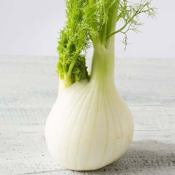 خواص رازیانه برای زنان