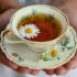 طبع بابونه گرم است یا سرد؟ مصلح آن در طب سنتی چیه؟!