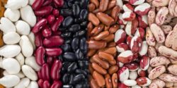 طبع لوبیا سرد است یا گرم؟ مصلح لوبیا در طب سنتی چیه؟!