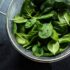 طبع و مصلح اسفناج در طب سنتی + راهنمای جامع برای تعادل مزاج