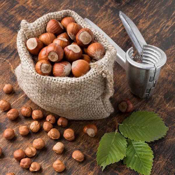 طبع فندق