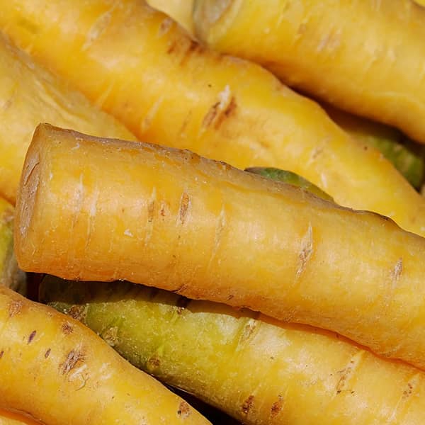 طبع زردک