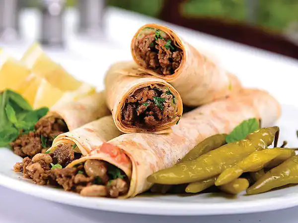 طرز تهیه تانتونی گوشت