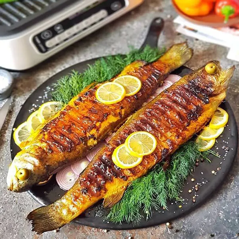 دیزاین ماهی مجلسی