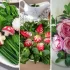 نمونه های زیبای تزیین سبزی خوردن برای مهمونی های مهم