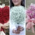 دسته گل عروس ژیپسوفیلا شیک برای عروس خانم‌های سخت پسند