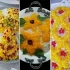 پرطرفدارترین روش های تزیین پلو زعفرانی برای مهمونی و مجالس مهم