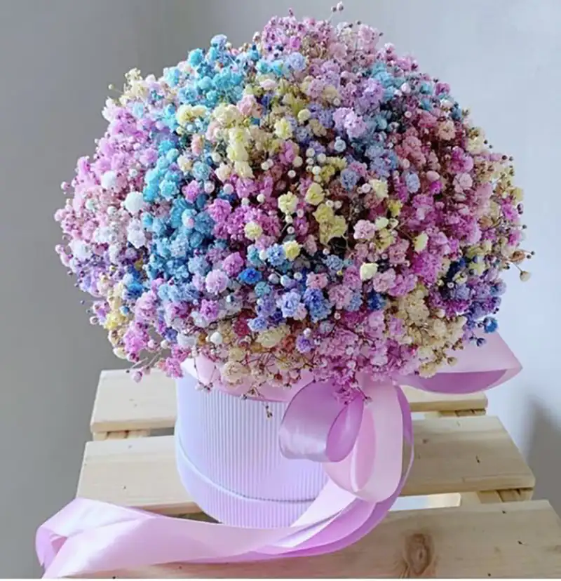 باکس گل ژیپسوفیلا