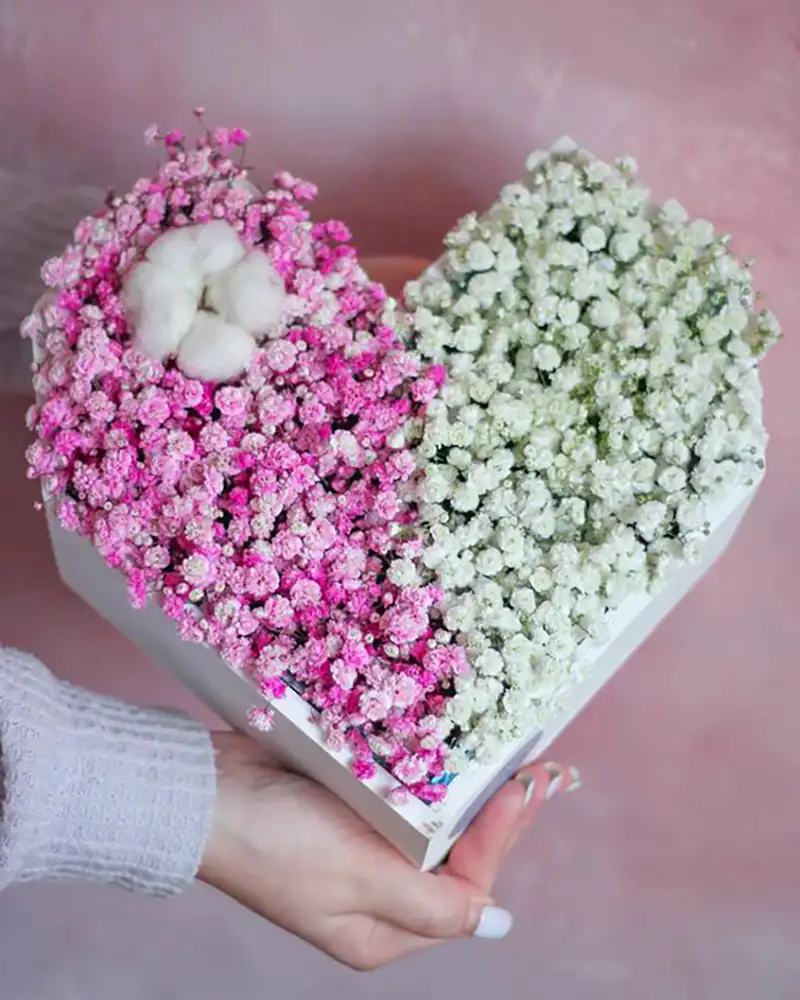باکس گل ژیپسوفیلا
