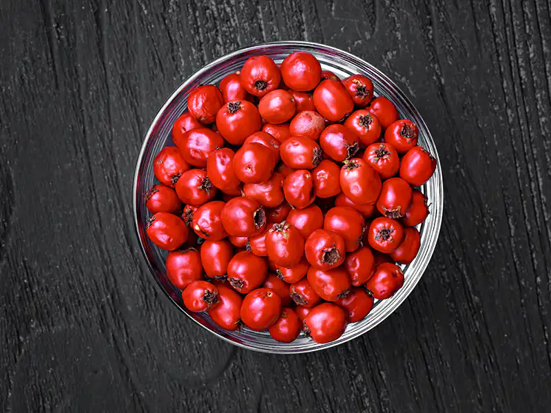 خواص زالزالک برای جوش