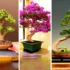15 نمونه بی‌نظیر بونسای لوکس آپارتمانی؛ جلوه‌ای خاص به خانه شما