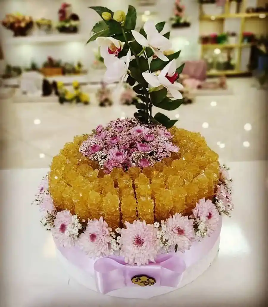 تزیین نبات سالن عقد