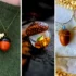 گردنبند آویز بلوط وینتیج؛ از طراحی‌های کلاسیک تا مدل‌های امروزی