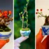 15 گیاه بونسای مینیمال؛ طراحی‌های ساده و زیبا برای دکوراسیون مدرن و مینیمال