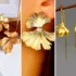 گوشواره طلای گل ارکیده؛ ۱۵ مدل جدید و پرطرفدار برای خانم‌های شیک‌پوش