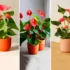 گیاه آپارتمانی با گل قرمز؛ ۱۵ طرح مدرن برای فضای زندگی