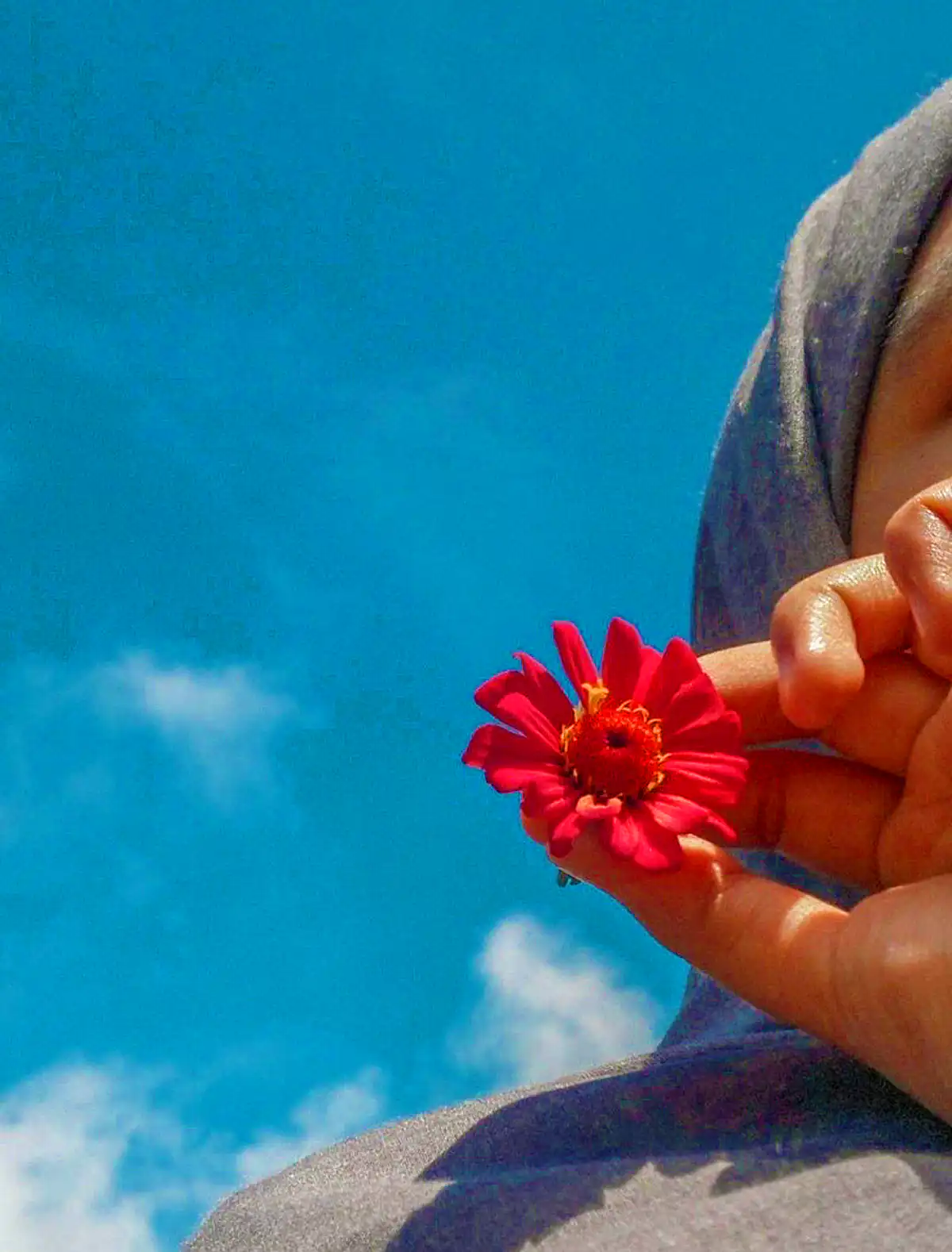عکس پروفایل دخترونه گل