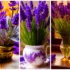 ۱۵ طرح مدرن و شیک برای گلدون تزئینی گل بنفشه؛ دکوراسیون لاکچری