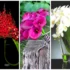 با این ۱۵ نمونه دسته گل شیک فرمالیته، عکس‌های خاص‌تر و متفاوت‌تری بگیرید.