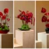 گل دکوری رومیزی با ۱۵ مدل متفاوت و شیک؛ انتخابی آسان و شیک برای هر محیطی