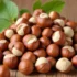 خواص و مضرات فندق + 18 نکته ضروری قبل از مصرف!