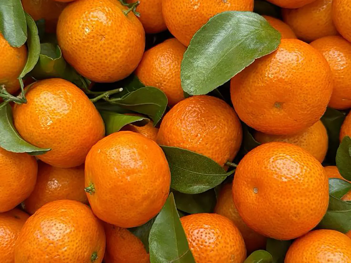 خواص نارنگی برای سرما خوردگی