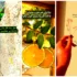 نگاهی به ۱۵ طرح زیبا از عکس نوشته حال خوب کن؛ پر از حس مثبت