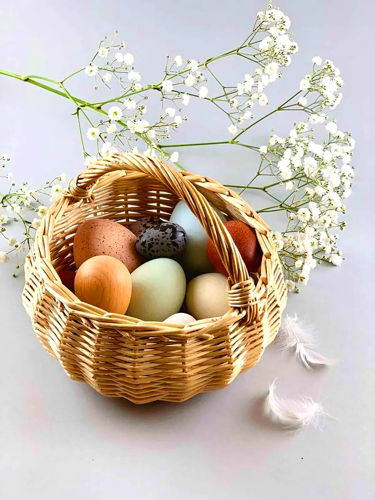 باکس تخم مرغ جدید