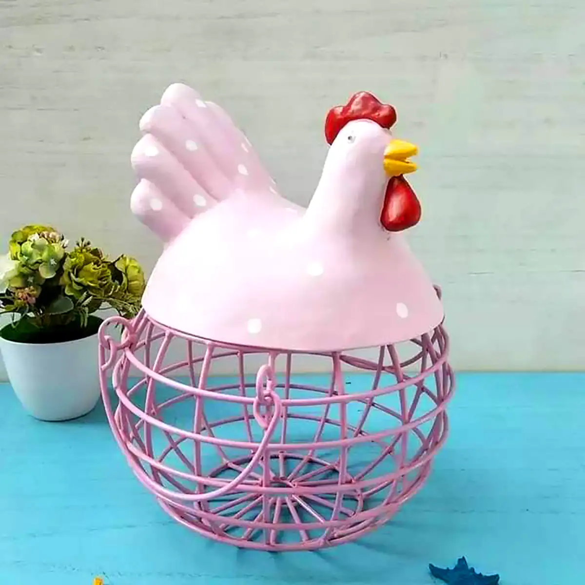 باکس تخم مرغ جدید
