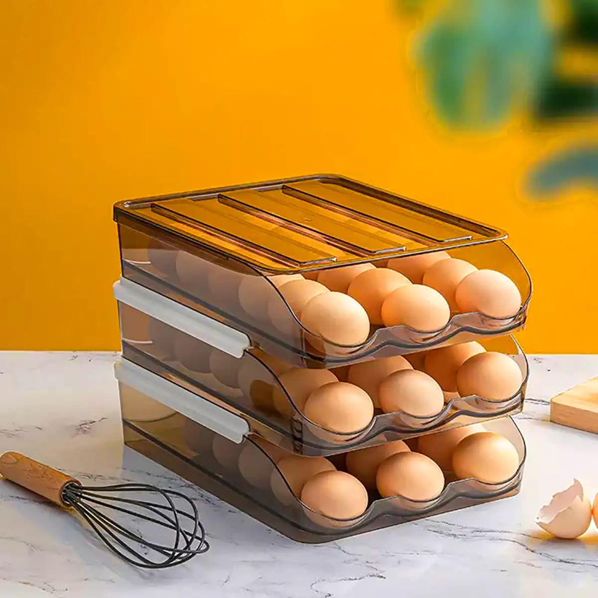 باکس تخم مرغ جدید