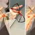 عینک طبی مینیمال و کلاسیک؛ کلکسیون ۱۵ مدل شیک و خاص برای استفاده روزمره