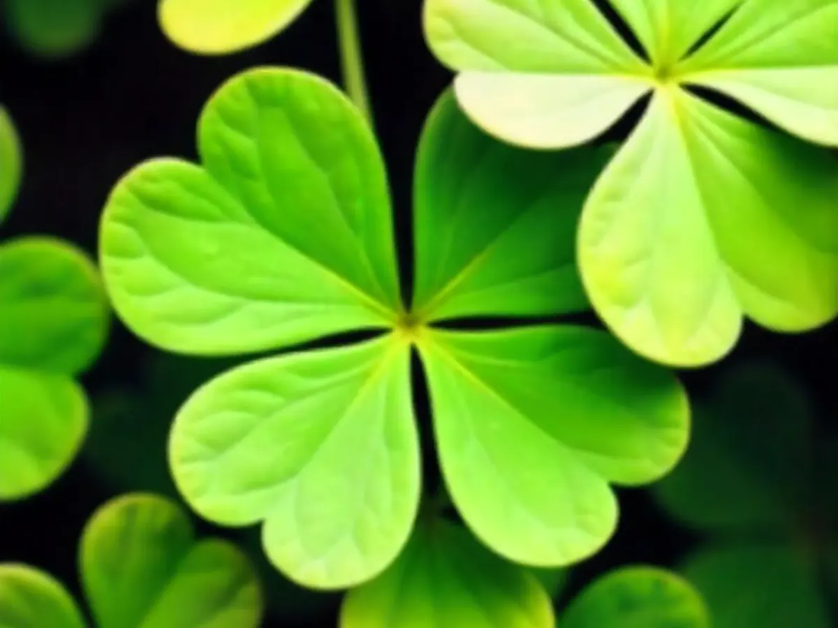 خواص جینکوبیلوبا برای مو