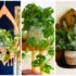 گلدون طبیعی آویز دکوری؛ ایده‌ای متفاوت برای تزیین اتاق‌ها که حس تازگی و طراوت میده.