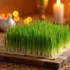 کاشت سبزه عید روی فیبر | 10 ترفند برای داشتن سبزه ای شاداب
