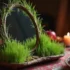 کاشت سبزه روی آینه؛ سبزه ای خاص برای هفت سین امسال + 10 نکته کاشت