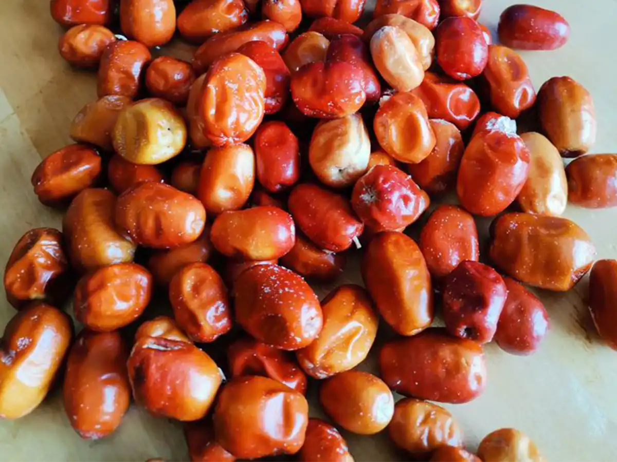 خرید سنجد برای هفت سین