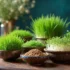 نکات خرید سبزه نوروز | 10 نکته ضروری برای انتخاب و نگهداری سبزه تا 13 بدر