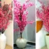 درخت شکوفه صورتی تزیینی؛ کالکشن ۱۵ مدل بی‌نظیر برای فضای داخلی