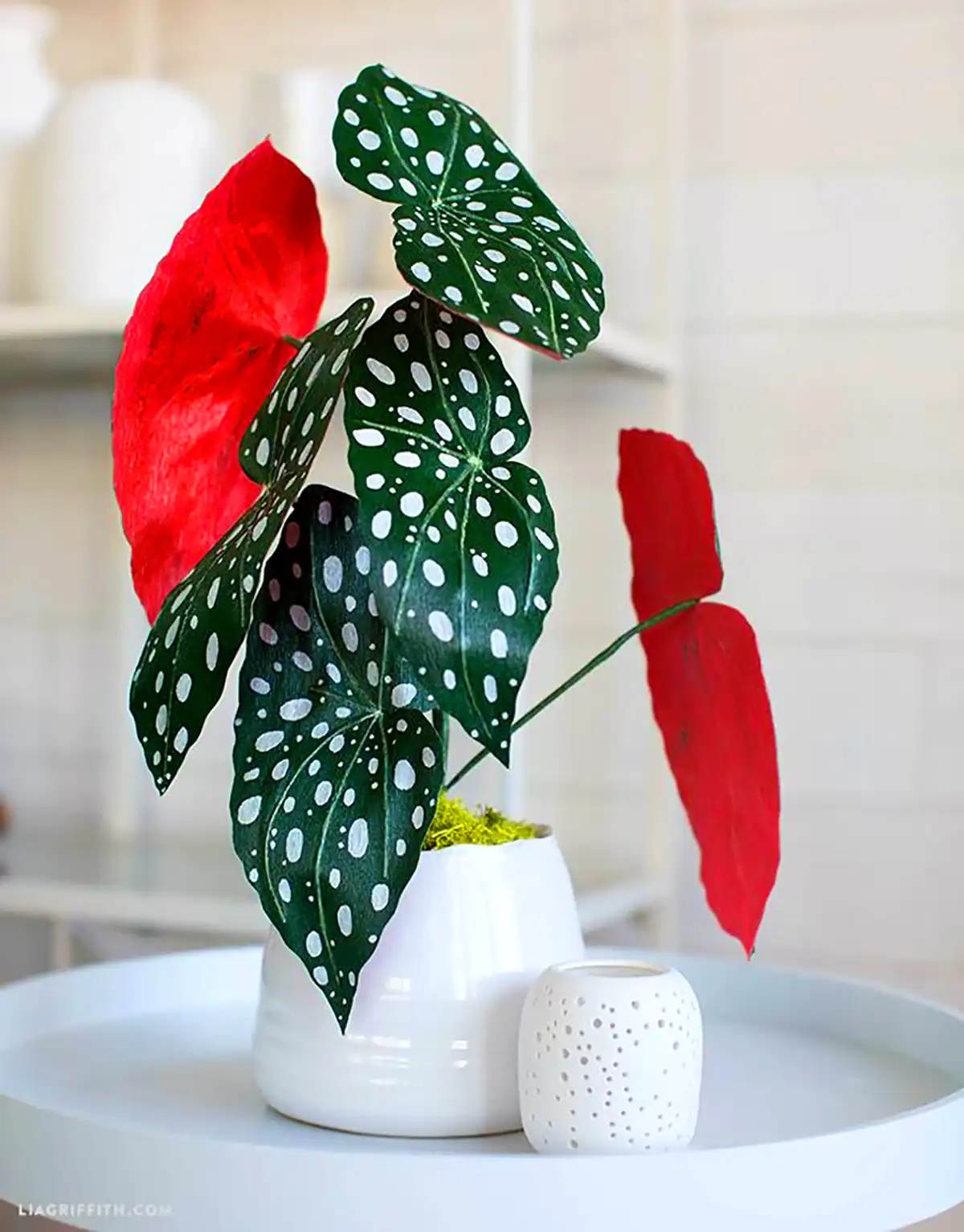 گلدون دکوری کاغذی