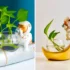 گلدون پتوس طرح آدمک؛ ۱۵ نمونه جذاب برای خلق یک فضای طبیعی و دلنشین