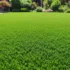 چگونه چمن مصنوعی را تمیز کنیم؟ راهکاری برای شستشوی آسان و سریع + 10 نکته مهم