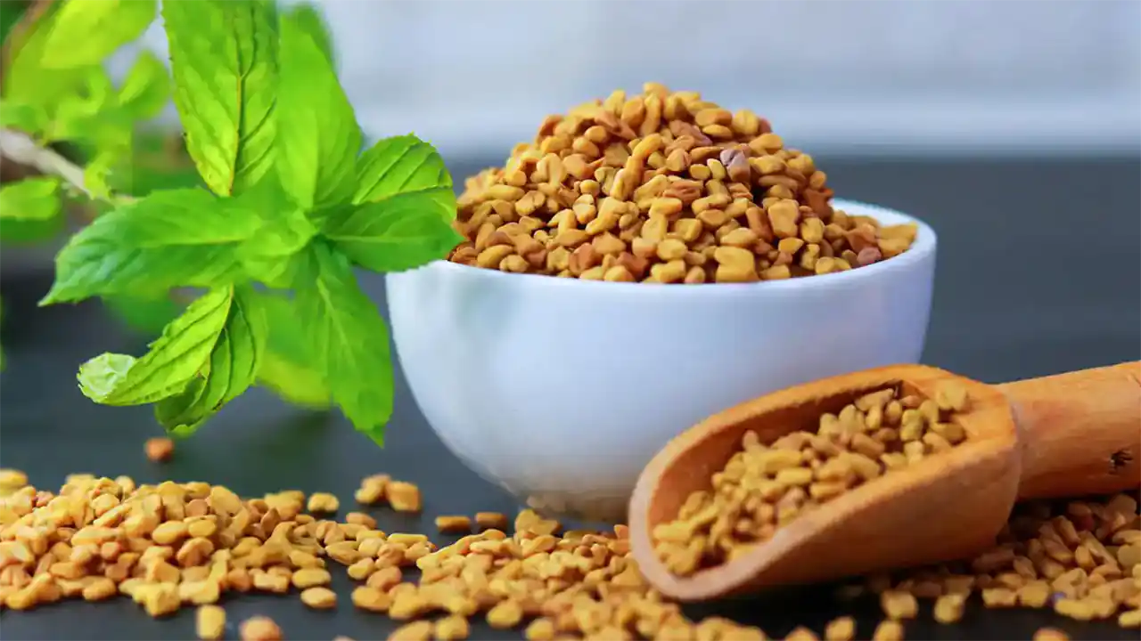 خواص شنبلیله برای رحم چاقی دیابت در بارداری از نظر طب سنتی خاصیت شنبلیله خشک شده عرق شنبلیله برای زنان برگ شنبلیله برای مو برای چربی خون برای موخوره ماست و شنبلیله khavas shanbalile o,hw akfgdgi