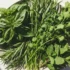 چطور سبزی پلاسیده را تازه کنیم؟ روش خانگی نجات سبزیجات بی حال + 10 نکته مهم