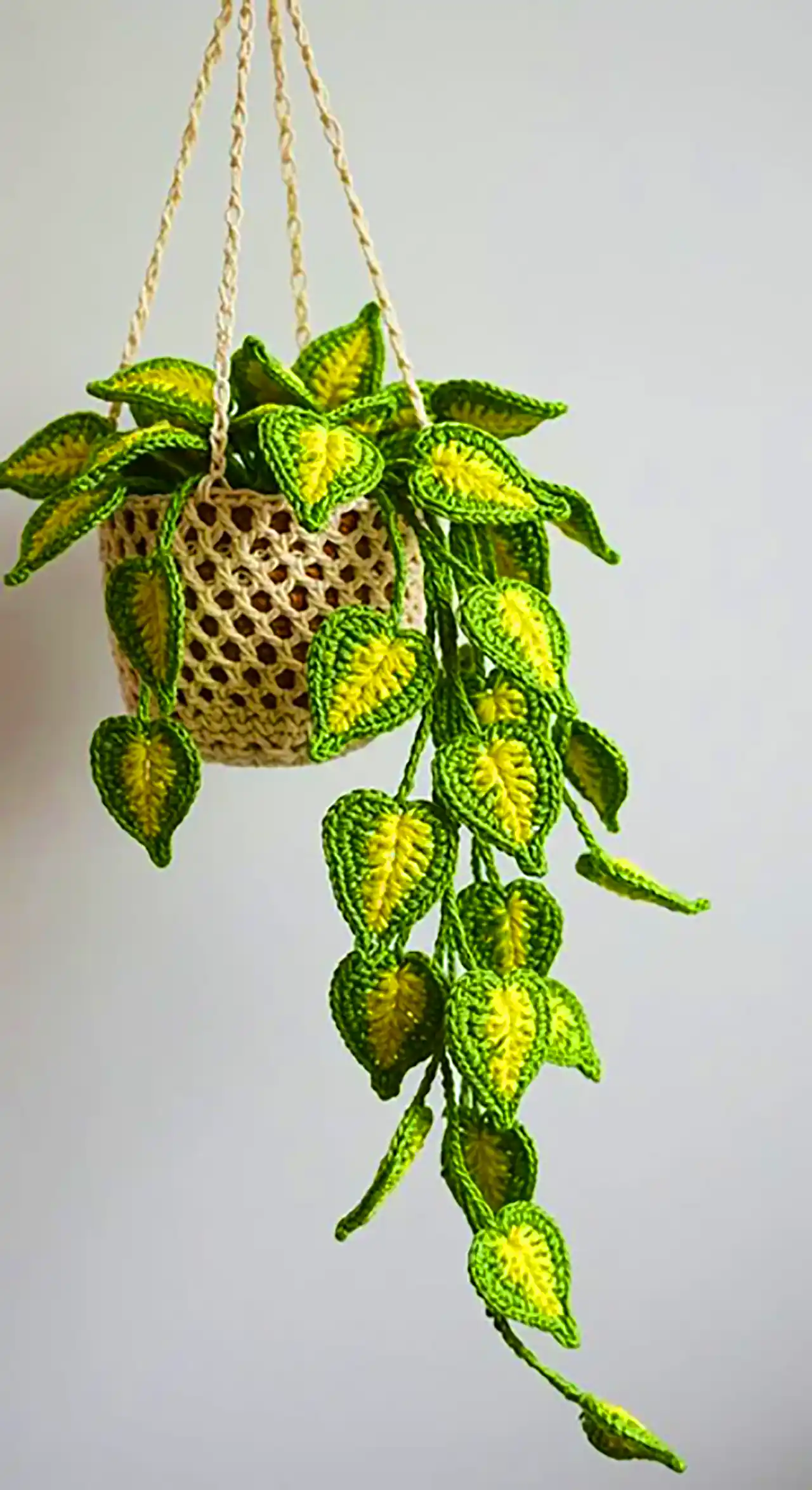گلدان دکوری بافتنی