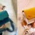 کیف دوشی با بند بلند؛ 15 مدل شیک برای استایل پائیزه خاص و ترند