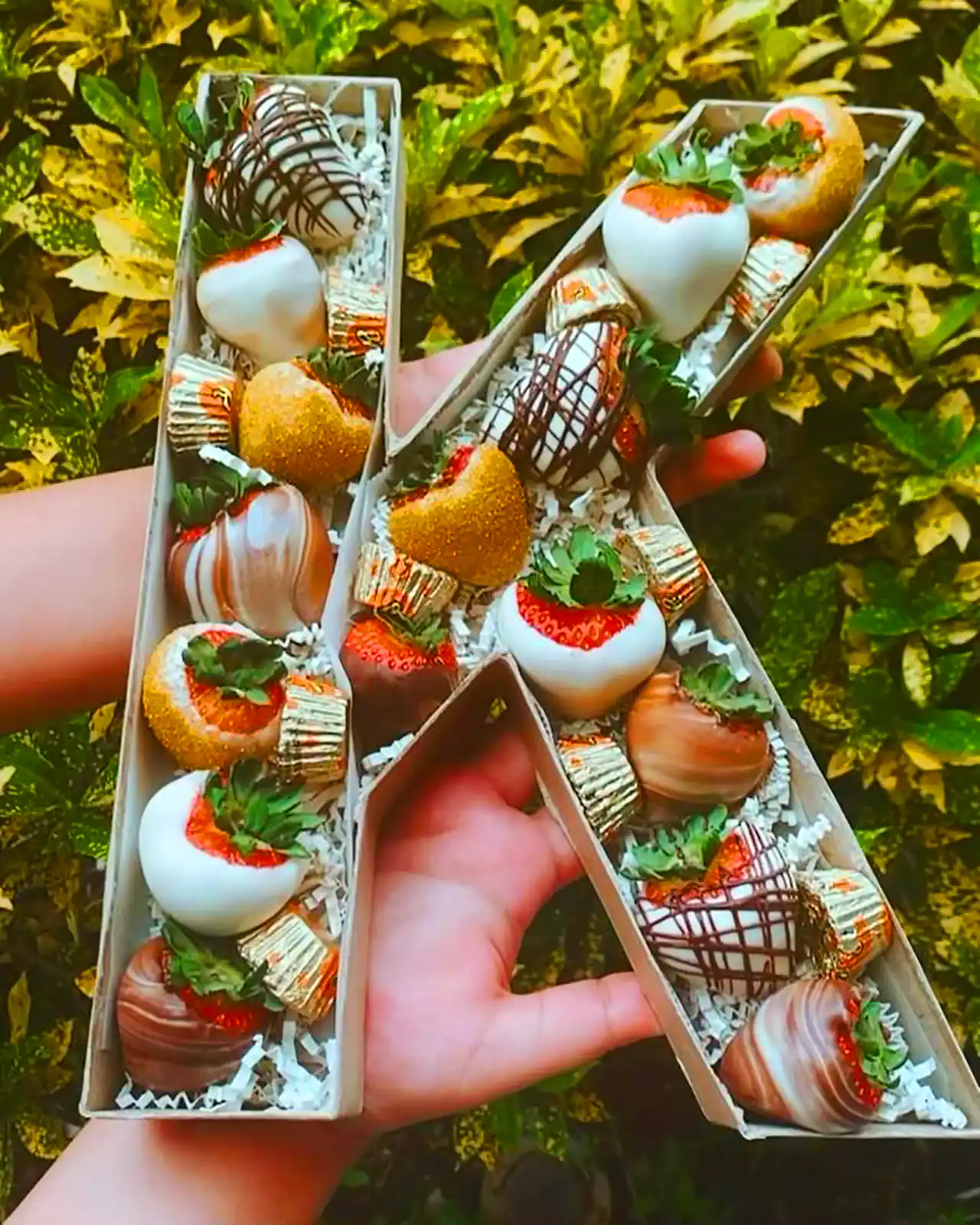 باکس هدیه گل و شکلات