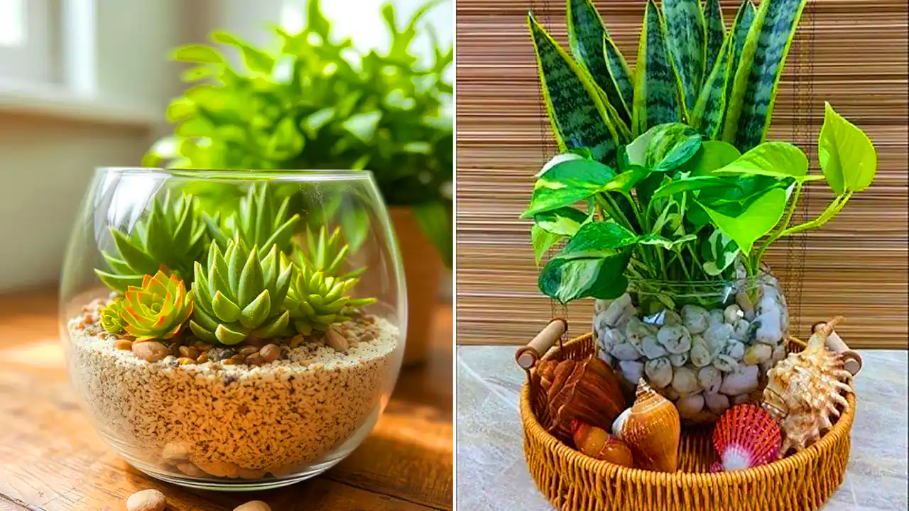 گلدان گل طبیعی شیشه ای