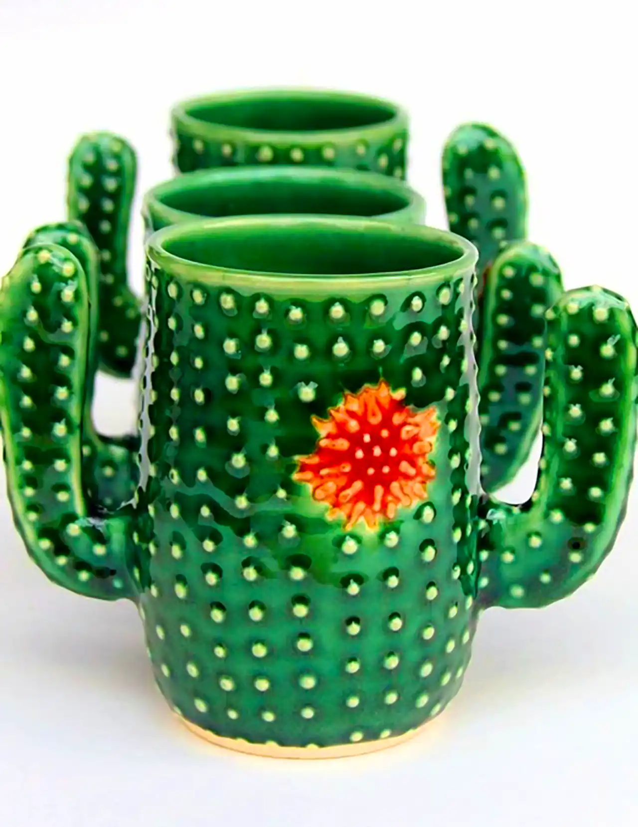 دکوریجات گوگولی طرح کاکتوس 